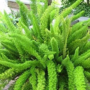 💚💚💚💚💚💚